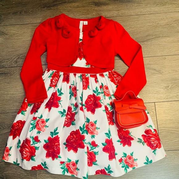 Other - Holiday collector series outfit